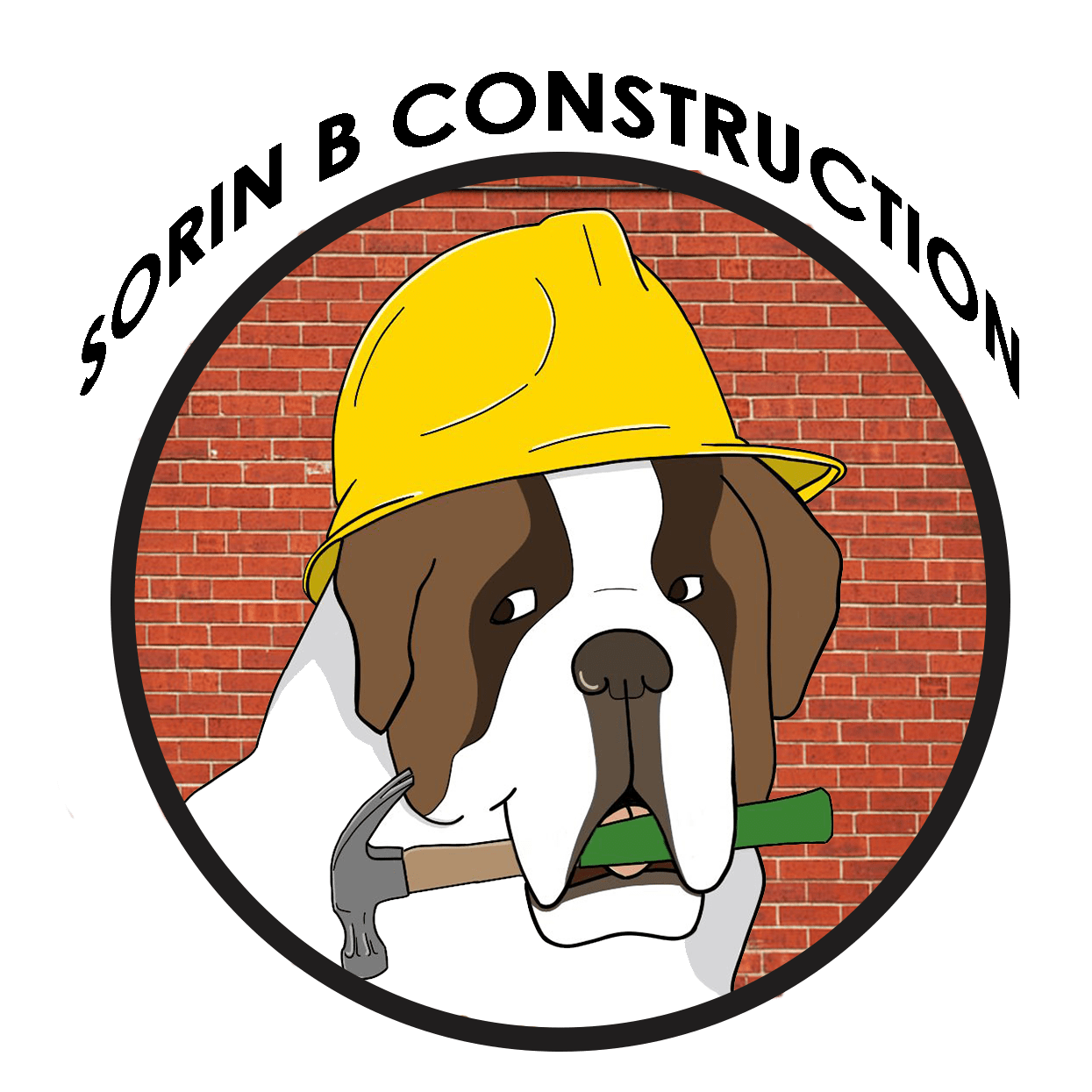 Sorin B Construction